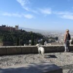 Granada: Guided Albaicín Visit with Pets - The Experience Provider and Booking Flexibility