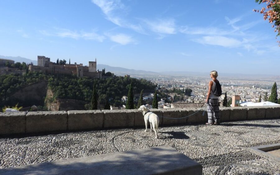 Granada: Guided Albaicín Visit with Pets - The Experience Provider and Booking Flexibility