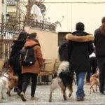 Granada: Guided Realejo Tour with Pets - Discovering the Streets of the Jewish Neighborhood