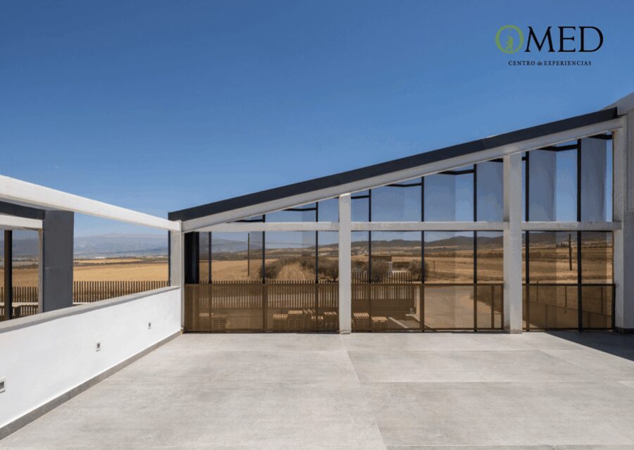 Granada in EVOO: Guided tour and unique sensorial tasting - Visiting OMED Olive Oil Mill Near Granada