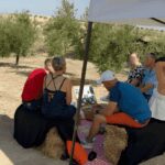 Granada in EVOO: Picnic among olive trees and unique views - Starting point at Venchipa S.L. // O-MED for a Guided Tour