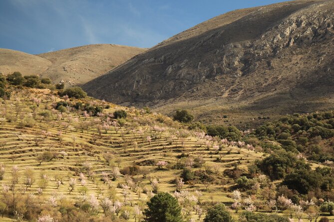 Granada: Nature, Wildlife and Authentic Villages E-bike Tour - Starting at La Silla Del Moro for a Breathtaking View
