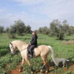 Granada & Sierra Nevada Horse Riding Tour - Practical Details and Booking Tips
