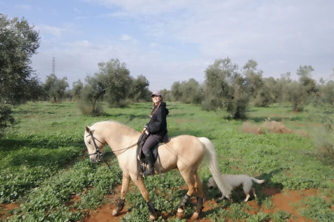 Granada & Sierra Nevada Horse Riding Tour - Practical Details and Booking Tips