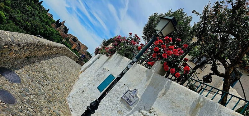 Granada: "Street Art & The Caves" Unique Guided Walking Tour - The Vibrant Street Art Scene of Granada