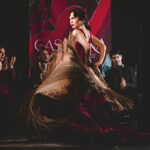 Granada: Traditional Flamenco Show at Tablao Casa Ana - Location and Meeting Details in Granada