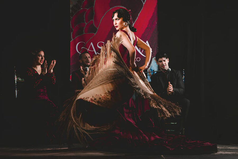 Granada: Traditional Flamenco Show at Tablao Casa Ana - Location and Meeting Details in Granada