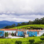 Granbazán Winery: Guided Tour and Wine Tasting - Discover the Origins of Galician Viticulture at Granbazán