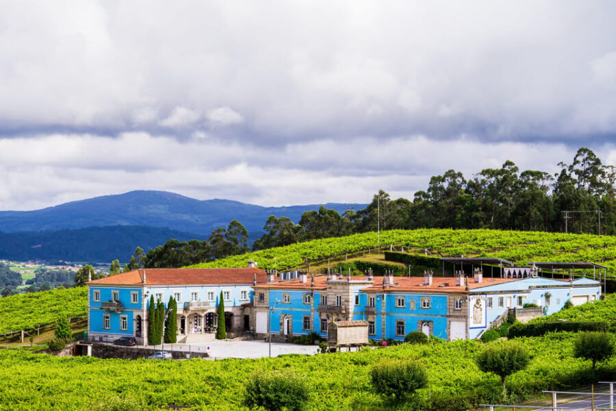 Granbazán Winery: Guided Tour and Wine Tasting - Discover the Origins of Galician Viticulture at Granbazán