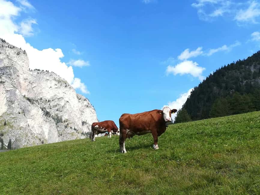 Grand Dolomites Tour to Fiemme & Fassa Valleys & Pordoi Pass - Scenic Drive Through Fiemme and Fassa Valleys