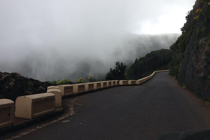 Grand Tour Tenerife - Full-Day Private VIP Tour - Admiring the Cliffs of Los Gigantes