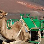 Grand Tour to Timanfaya and Jameos del Agua for cruise passengers - Mirador del Rio: Panoramic Views of La Graciosa from a Cliff