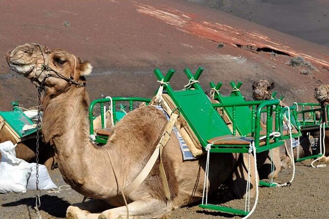 Grand Tour to Timanfaya and Jameos del Agua for cruise passengers - Mirador del Rio: Panoramic Views of La Graciosa from a Cliff