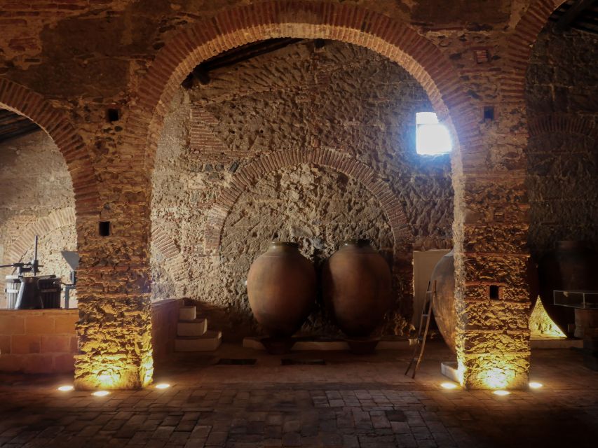 Grande Prova Honrado Vineyards - Tasting Four Talha Wines from DOC Alentejo