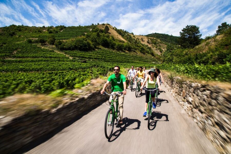Grape Grazing: Wachau Valley Winery Biking Tour - Convenient Transportation from Vienna to Wachau