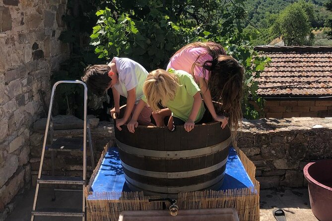 Grape Stomping Experience and Wine Tasting - Starting Point in Barberino Tavarnelle for a Florence Day Trip