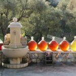 Grasse, Gourdon and local wine tasting - Starting Point and Transportation Logistics
