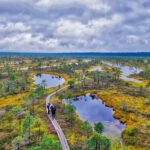 Great emeri Bog & Swamp Forest Hiking Adventure - Starting Point and Transportation Details