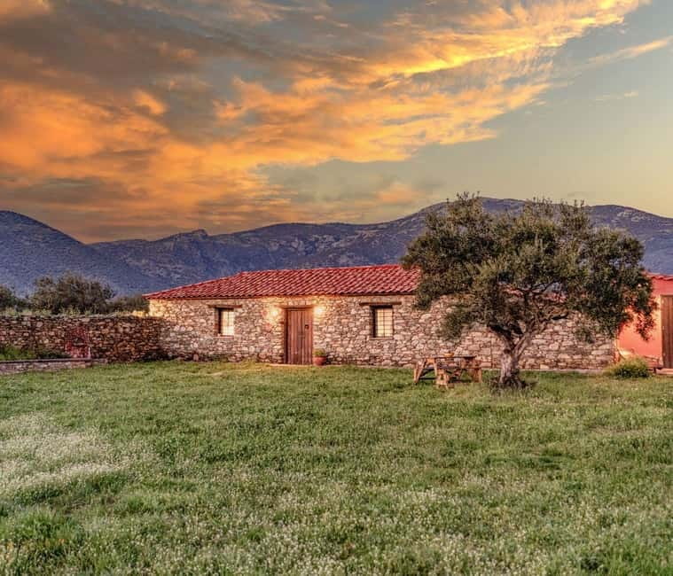 Greece in a Drop: Olive Grove Walk and Olive Oil Tasting - Olive Oil Tasting: Experience the Flavors and Aromas