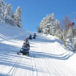 Green Bursa and Uluda Tour from Istanbul - Visiting the 600-Year-Old Inkaya Tree: Bursa’s Natural Landmark