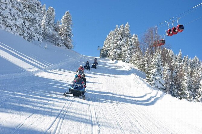 Green Bursa and Uluda Tour from Istanbul - Visiting the 600-Year-Old Inkaya Tree: Bursa’s Natural Landmark