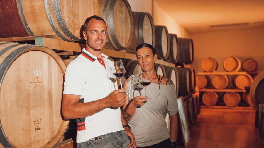 Greve in Chianti: Tour and tasting of organic Chianti Classico and Tuscan snacks - Exploring the Winemaking Process and Olive Oil Production