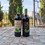 Greve in Chianti Wine Tasting and Winery Tour - The Vineyard and Olive Oil Tour