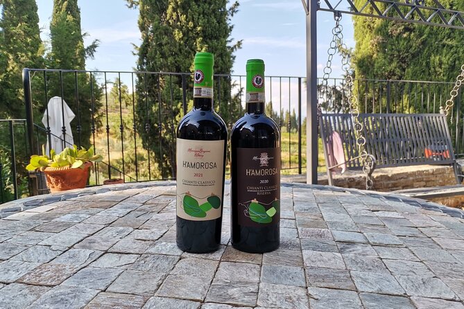 Greve in Chianti Wine Tasting and Winery Tour - The Vineyard and Olive Oil Tour