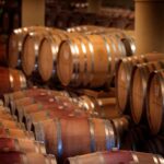 Greve in Chianti: Wine Tasting & Cellar Tour - Exploring Nozzole Estate’s Cellars and Museum