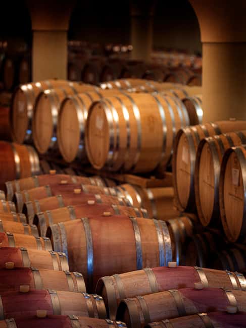 Greve in Chianti: Wine Tasting & Cellar Tour - Exploring Nozzole Estate’s Cellars and Museum