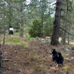 Grevena: Mount Orliakas and Portitsa Canyon Hike - Starting at the Ziakas Campsite for a Scenic Drive and Hike Preparation