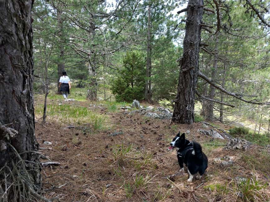 Grevena: Mount Orliakas and Portitsa Canyon Hike - Starting at the Ziakas Campsite for a Scenic Drive and Hike Preparation
