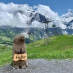 Grindelwald & Bachalpsee Hiking Private Tour | From Bern - Exploring Grindelwald’s Village Charm