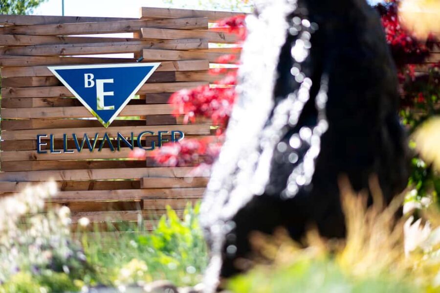 Großheppach: Wine tasting with a cellar tour at the Bernhard Ellwanger winery - The Champagne Reception Sets a Festive Tone