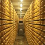 Gruyères, Cheese Factory & Maison Cailler Day Trip from Bern - Starting at Bern’s Tourist Information Office