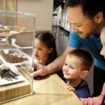 Gruyères Trip With Cheese and Chocolate Factory Visit from Geneva - The Role of the Guide and Group Size