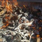 Guardiola de Font-Rubí: Winery & Grill Menu Tour - Guided Tour of Vineyards, Cellars, and Warehouse