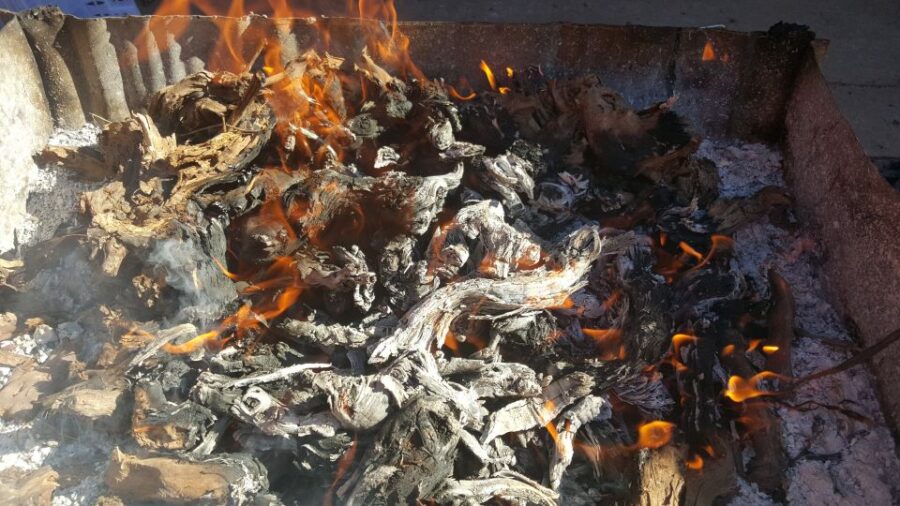 Guardiola de Font-Rubí: Winery & Grill Menu Tour - Guided Tour of Vineyards, Cellars, and Warehouse