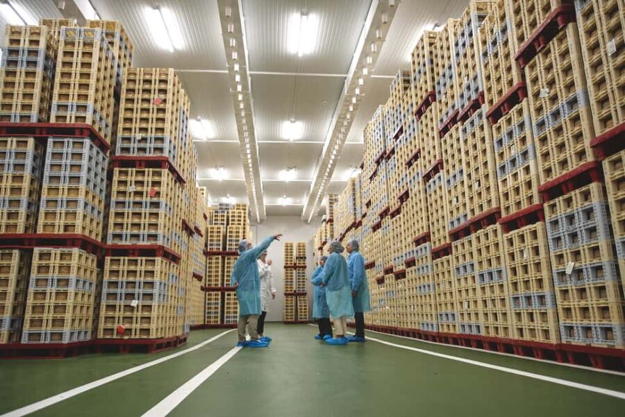 Guide Visit to the old Cheese Factory - Visiting the Cheese Factory in Castile and León