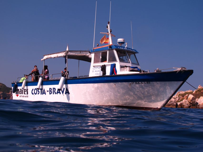 Guided Boat Tour to Medes Islands & Roca Foradada with Swim - Setting Sail from LEstartit into Montgrí Natural Park