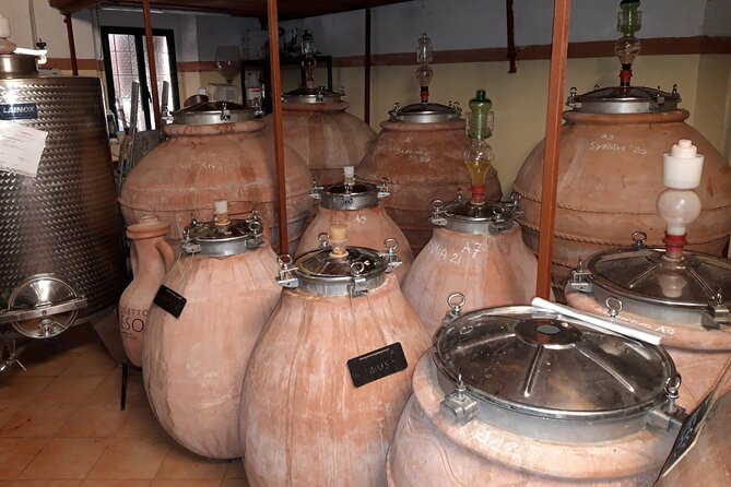 Guided Cycle Tourism Wine Tour by E-Bike on the Island of Elba "Arrighi" - Discover Rio nellElba’s Historic Wash House