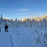 Guided Daytime Ski Adventure: Private Trails by Rovaniemi - Suitable for All Experience Levels