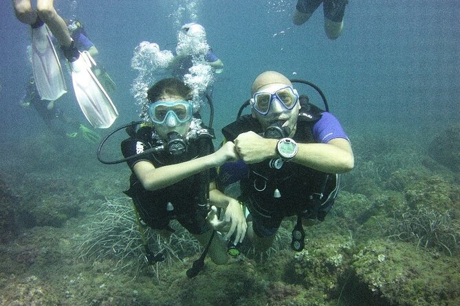 Guided dive for certified divers - Key Points