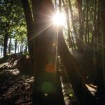 Guided E-Bike Tour - Arzler Alm Single Trail - Visiting Nordkette and the Architectural Landmark