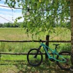 Guided E-Bike Tour in the Mandria Park - Riding E-Bikes Through the Mandria Natural Park