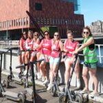 Guided E-kickscooter tour: The big five of Antwerp - Passing the Museum of Fine Arts and Its Vibrant Surroundings