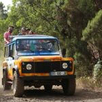 Guided Exploration of Southwest Madeira in a 4x4 - Scenic Viewpoints and Natural Waterfalls