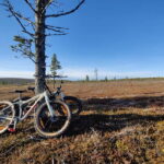 Guided Fatbike Tour in Ivalo - Key Points