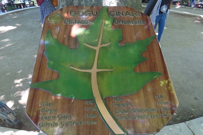 Guided Green Bursa Tour with Cable Car From Istanbul to Uludag - Starting from Istanbul to Bursa: The Logistics