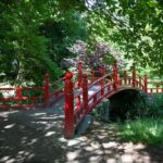 Guided House Tour in Ireland - Inside the Art Collection and Elegant Furnishings